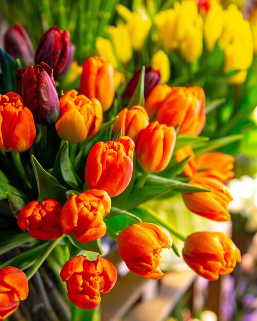 Side view of red tulip flower bouquet