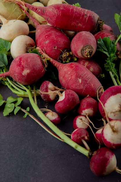 Side view of red and white radishes on maroon background with copy space