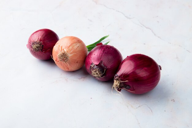 Free photo side view of red and yellow onions on white background with copy space