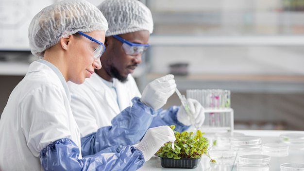 Side view of researchers in the biotechnology laboratory with plant