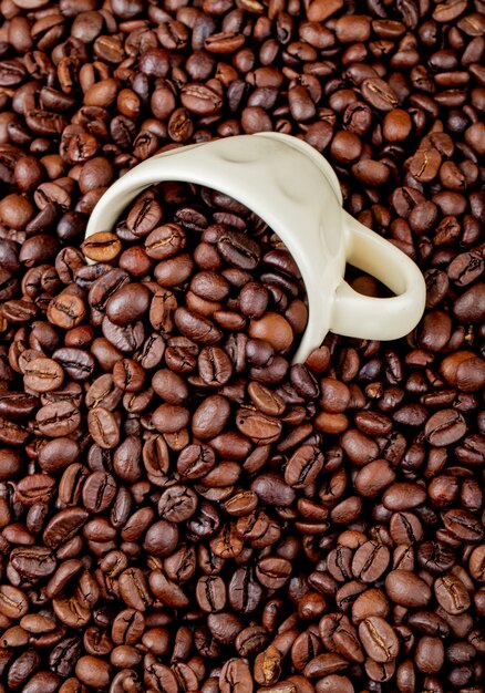 Side view of roasted coffee beans scattered from a ceramic cup on coffee beans