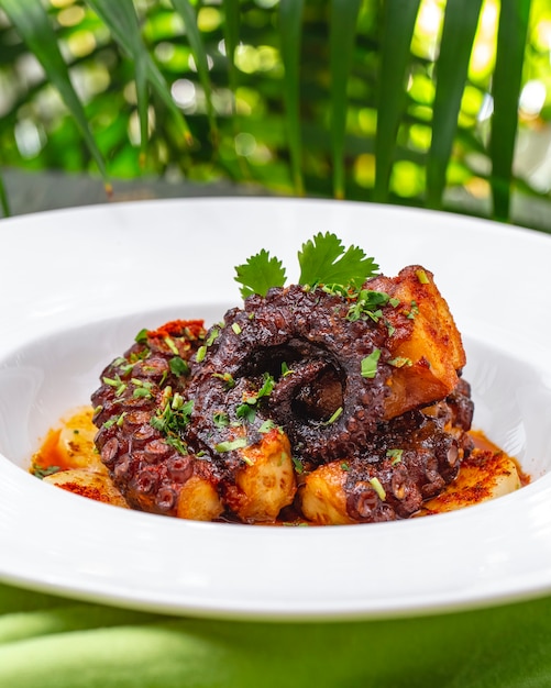 Side view stewed octopus with potato and greens on a plate