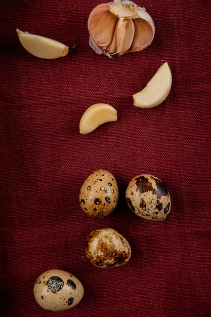 Side view of vegetables as mini egg and garlic on burgundy background