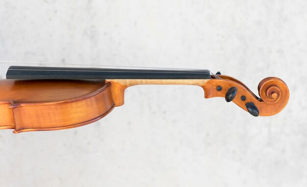Side view of violin