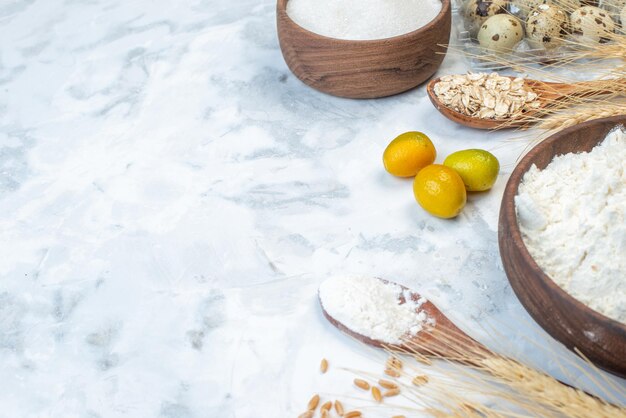 Side view of white flour kumquats spikes and sugar eggs on ice background with free space