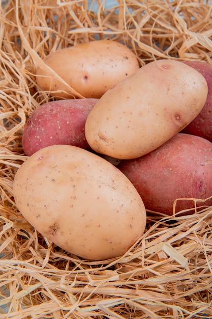 Foto gratuita vista laterale delle patate bianche e rosse in nido