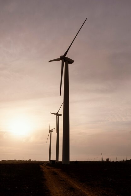 Side view of wind turbines at sunset generating energy