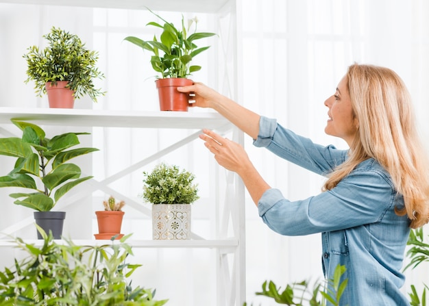 Side view woman arranging flowers pot