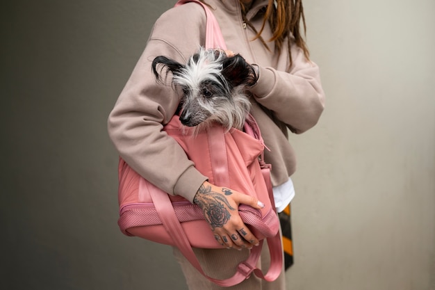 Free photo side view woman carrying dog in bag