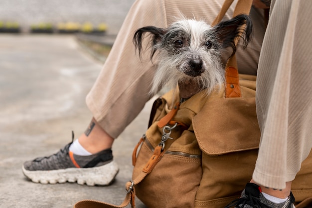 Free photo side view woman carrying puppy in bag