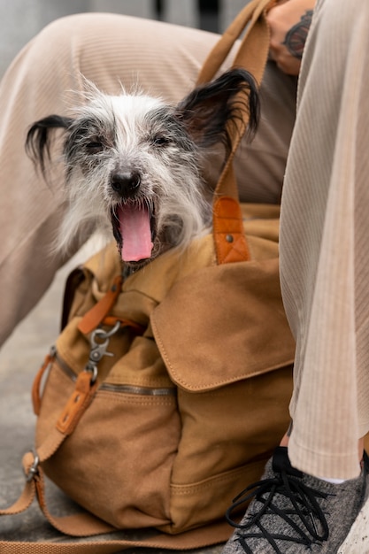 Side view woman carrying puppy in bag