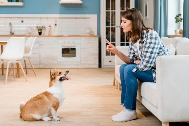 彼女の犬を訓練するソファの上の女性の側面図