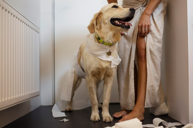 Side view woman and dog making mess