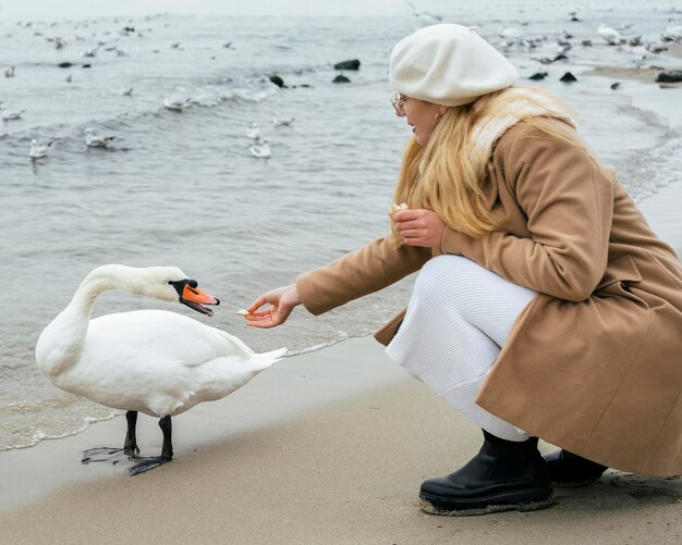Вид сбоку женщины, кормящей лебедя на пляже зимой
