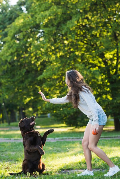 Side view of a woman having fun with her dog in garden