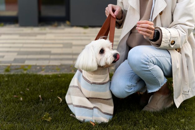犬と一緒にバッグを保持している側面図の女性