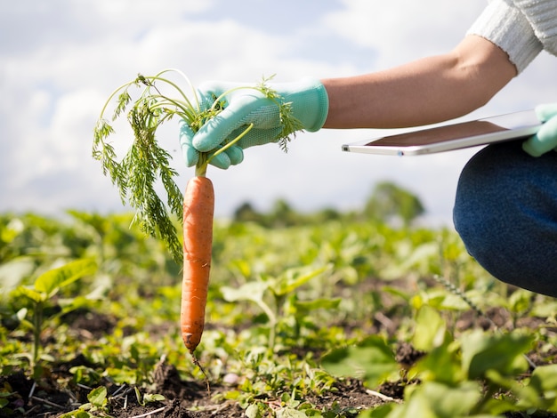 Side view woman holding a carrot