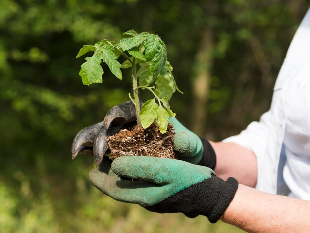 Side view woman holding a little plant in her arms