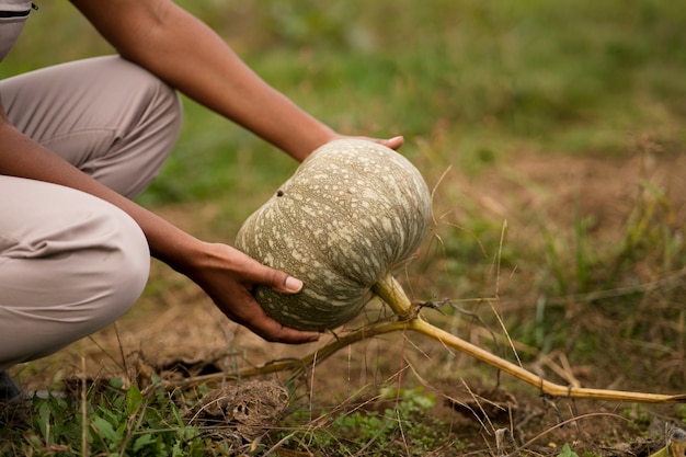 Free photo side view woman holding pumpkin