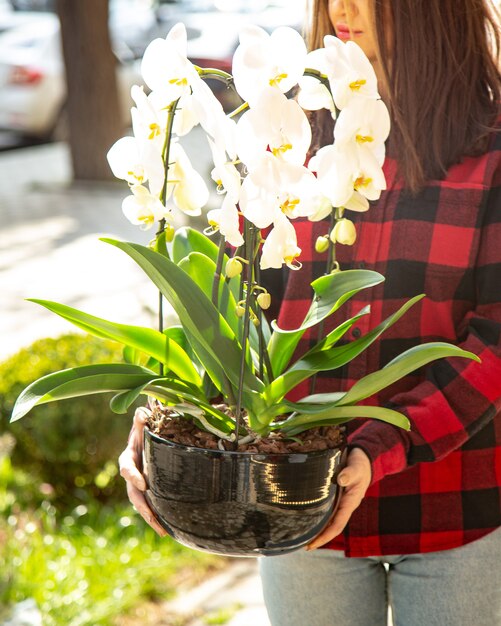Женщина сбоку держит белую орхидею в горшке