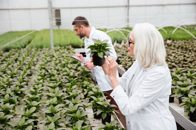 Free photo side view of woman and man working with plants in garden