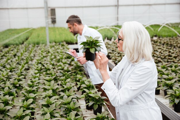 Side view of woman and man working with plants in garden