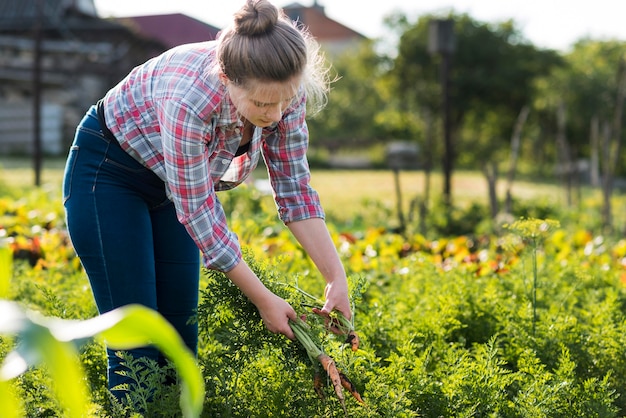 Side view woman picking up carrots