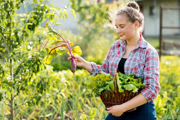Вид сбоку женщина собирает овощи