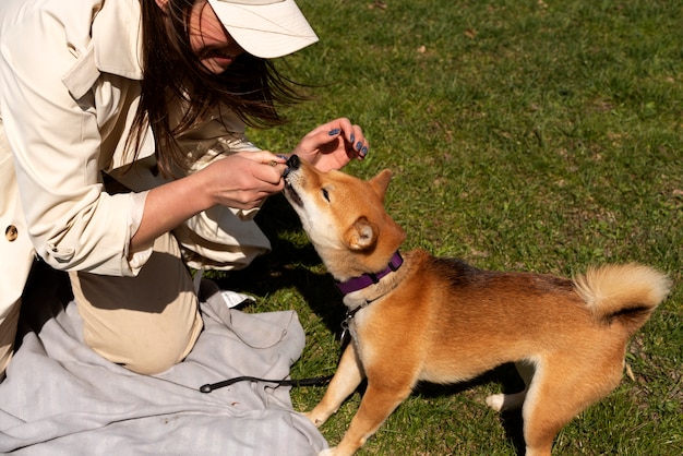 犬と遊ぶ側面図の女性