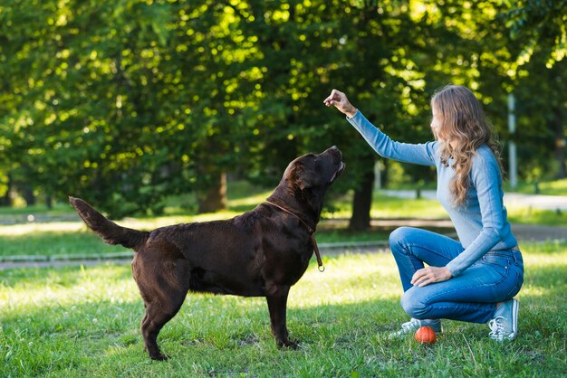 公園で彼女の犬と遊んでいる女性の側面図