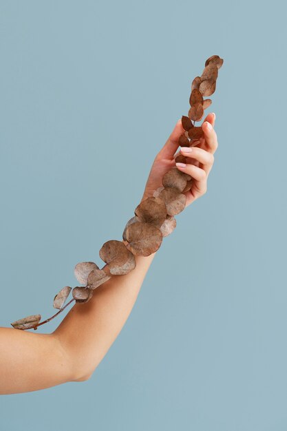 Side view woman's arm holding dried plant