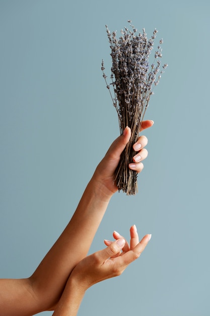 Foto gratuita pianta della holding del braccio della donna di vista laterale