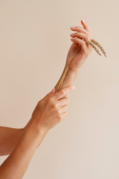 Side view woman's arm holding plants
