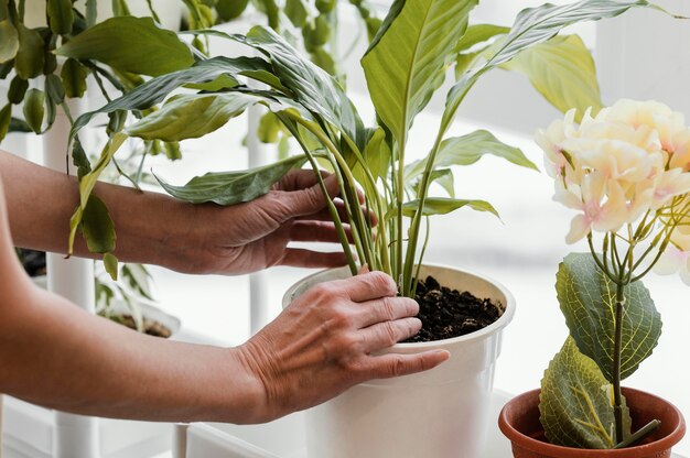 Side view of woman taking care of indoor plants