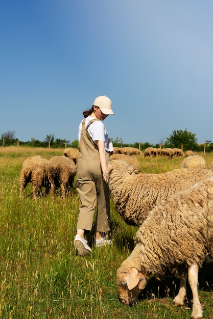 羊の世話をしている側面図の女性