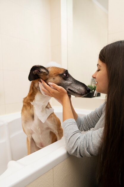 Side view woman washing dog