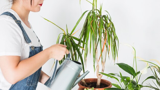 Side view of a woman watering potted plant