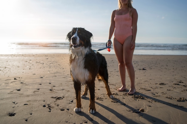 ビーチでかわいい犬と側面図の女性