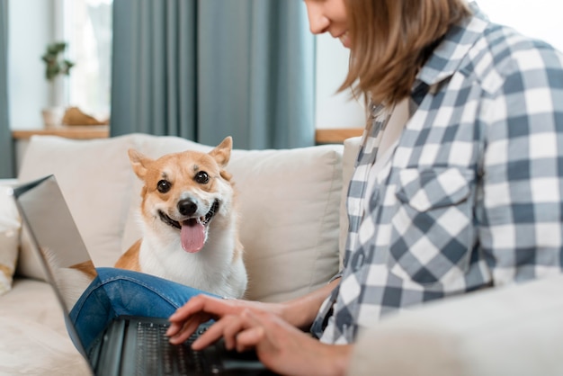 ソファの上の彼女の犬と一緒にラップトップに取り組んでいる女性の側面図