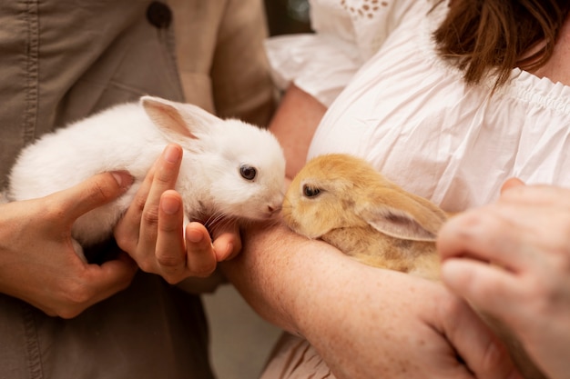 Вид сбоку женщины держат кроликов