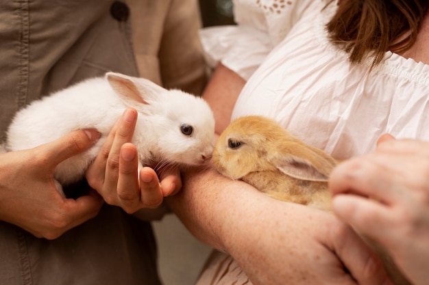 Side view women holding bunnies