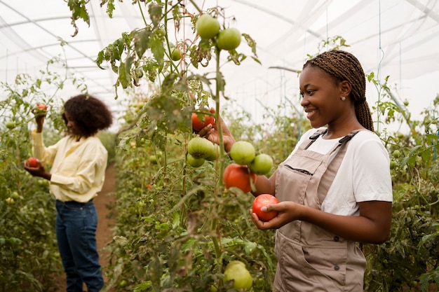 Free photo side view women taking care of plants