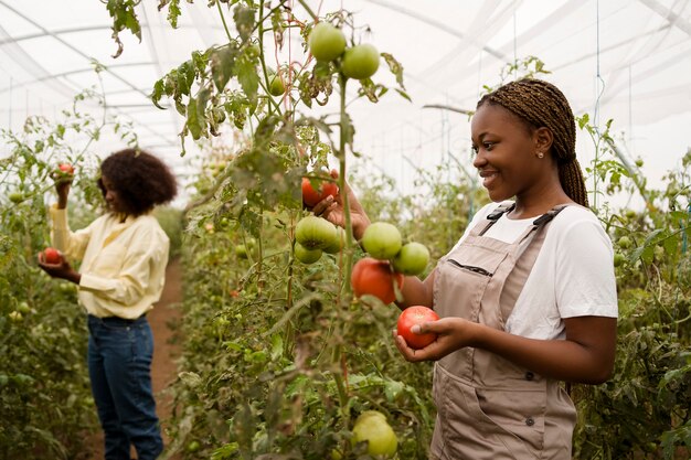 Side view women taking care of plants