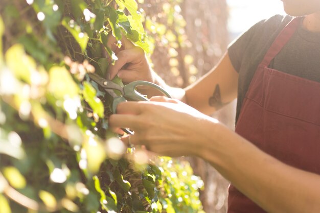 植物の世話をする側面図の若い女性