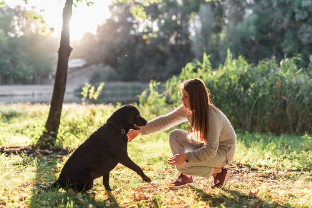 公園で彼女のラブラドール犬を持つ若い女性の側面図