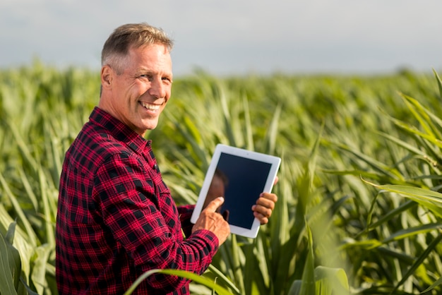 Вид сбоку человек с планшетом в кукурузном поле макет