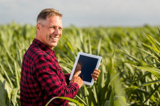 Sideview man with a tablet in a maize field mock-up