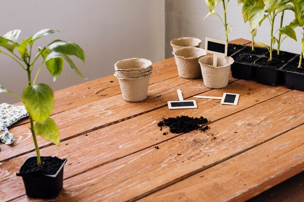 Sideways flower pots on the table