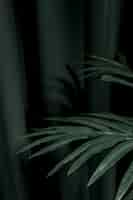 Бесплатное фото Боком листья пальмы