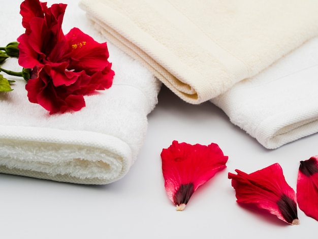 Sideways petals next to towels